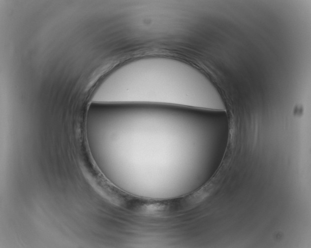 X0000113530158200909181008