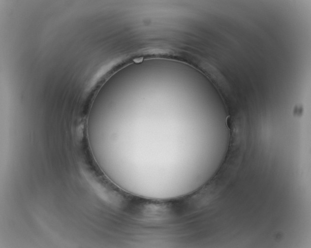 X0000113530160200909181008