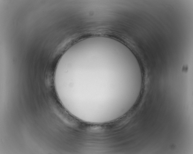 X0000113530161200909181008