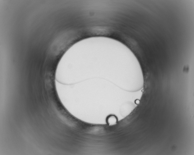 X0000113530162200909181008