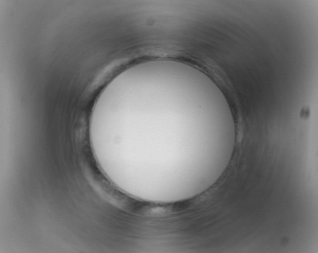 X0000113530163200909181008