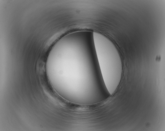 X0000113530164200909181008