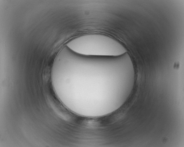 X0000113530165200909181008