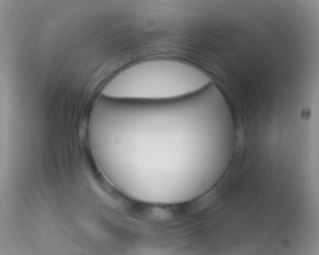 X0000113530166200909181008