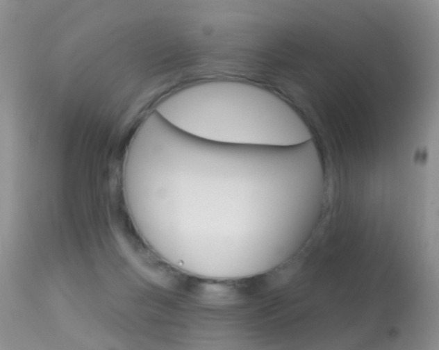 X0000113530167200909181008