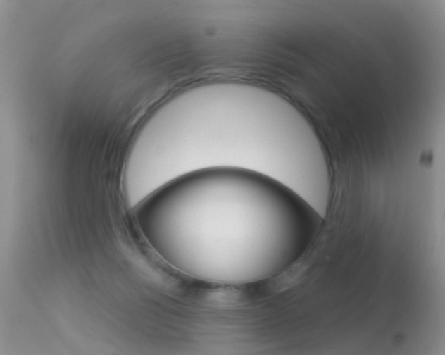 X0000113530168200909181008