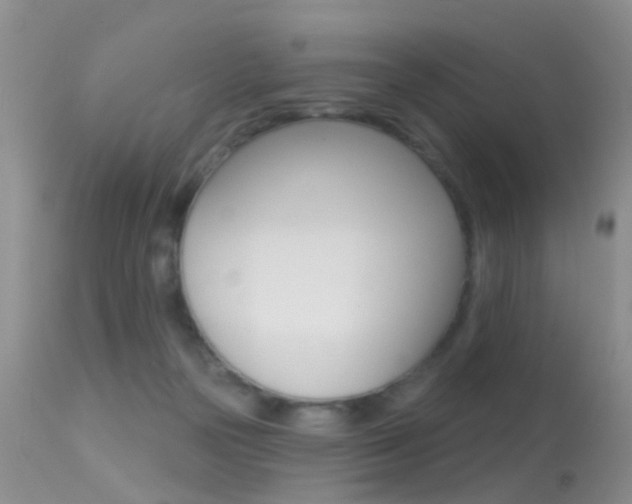 X0000113530169200909181008