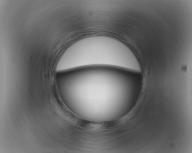 X0000113530170200909181008
