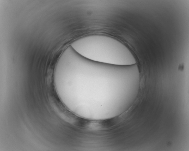 X0000113530171200909181008
