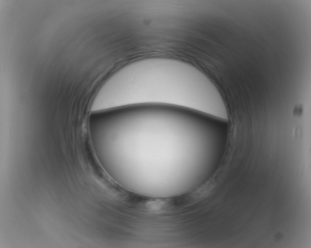 X0000113530172200909181008