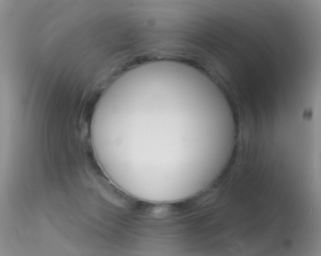 X0000113530173200909181008