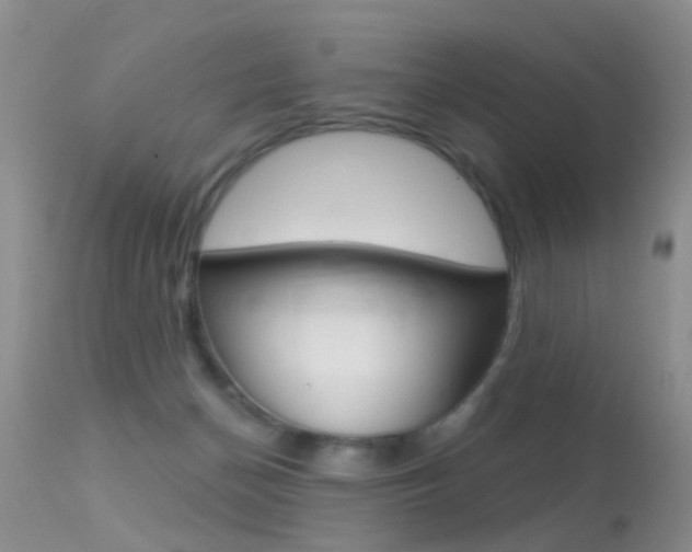 X0000113530174200909181008