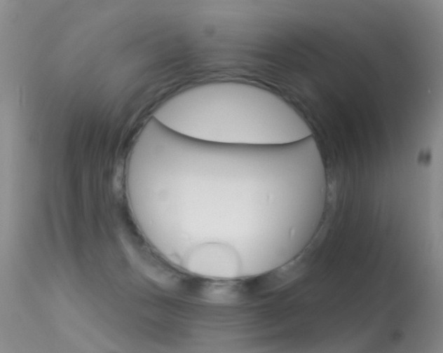 X0000113530175200909181008