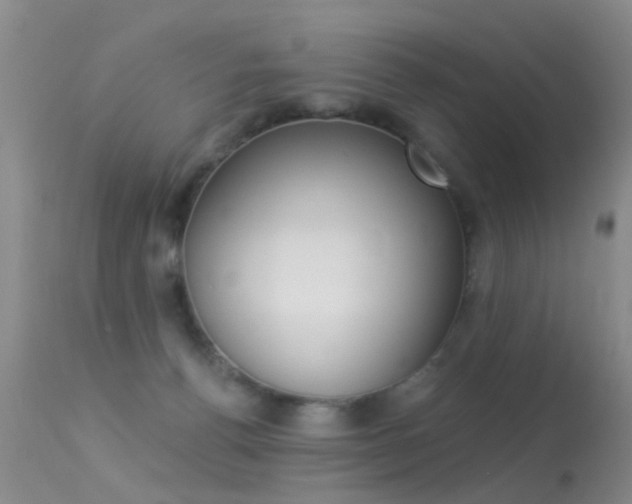 X0000113530176200909181008