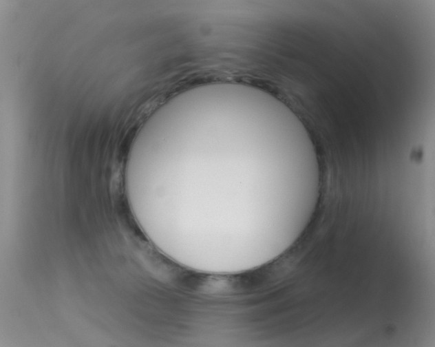X0000113530177200909181008