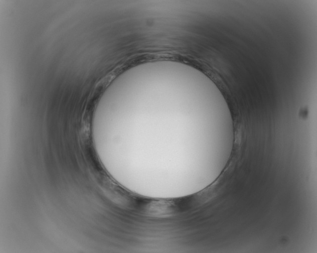 X0000113530179200909181008
