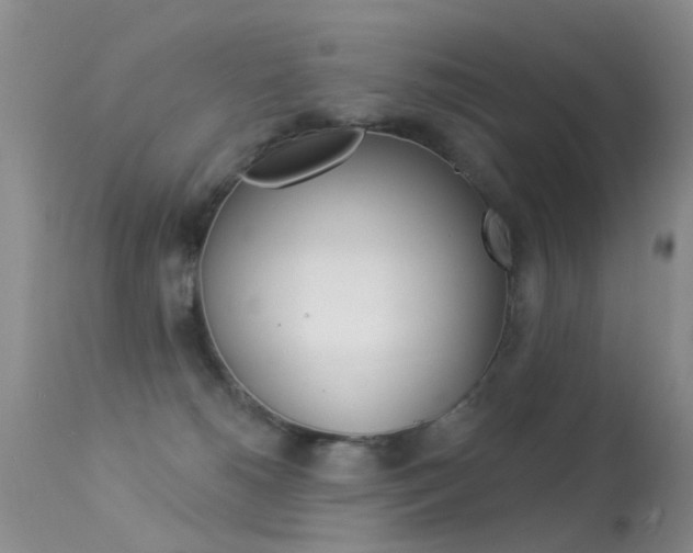 X0000113530180200909181008