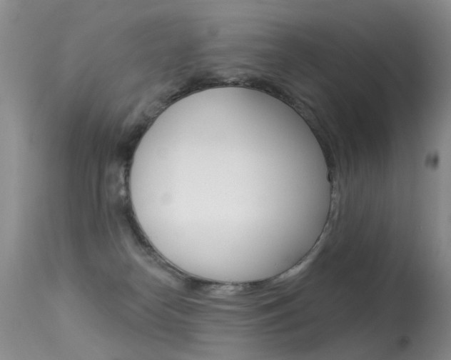 X0000113530182200909181008