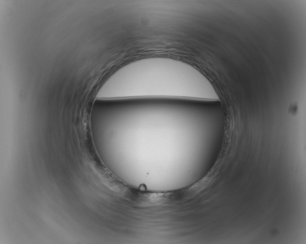 X0000113530184200909181008