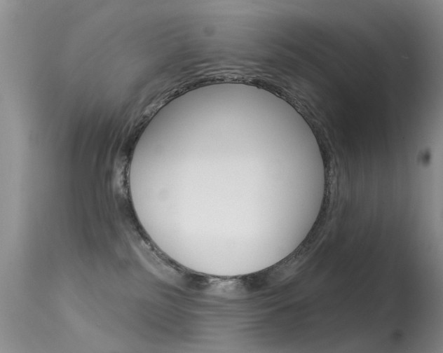 X0000113530185200909181008
