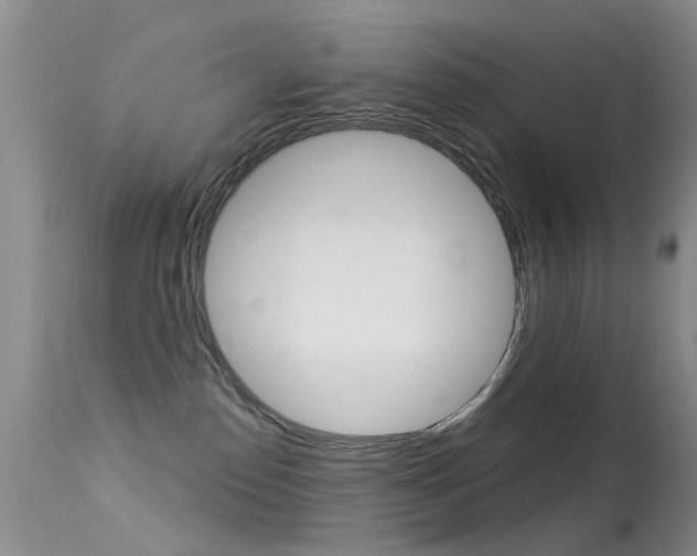 X0000113530186200909181008