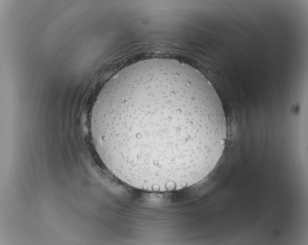 X0000113530187200909181008