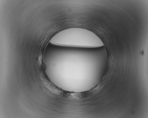 X0000113530188200909181008
