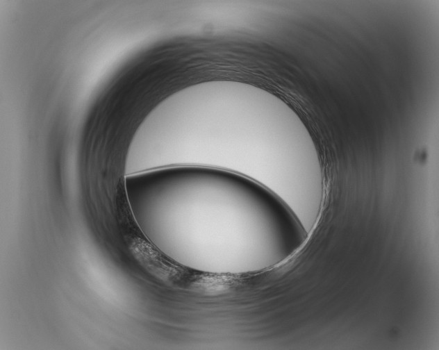 X0000113530190200909181008