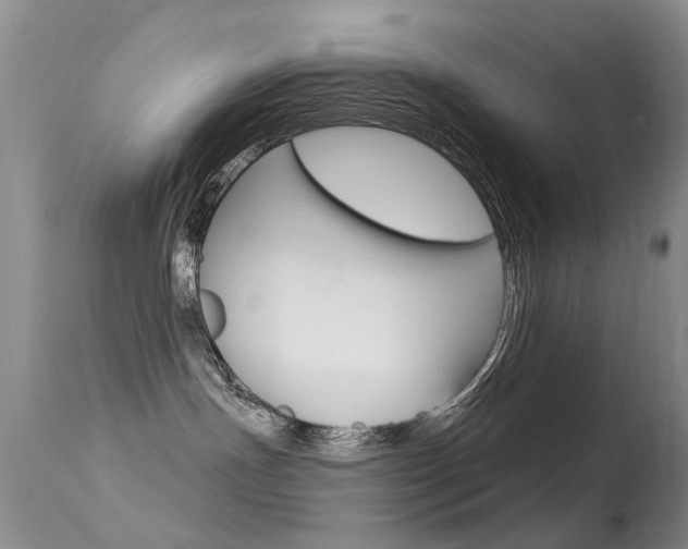 X0000113530191200909181009
