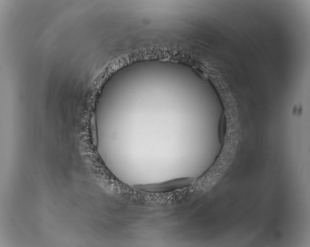 X0000113530192200909181009