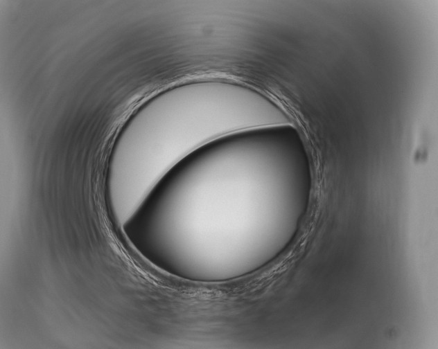 X0000113530193200909181008