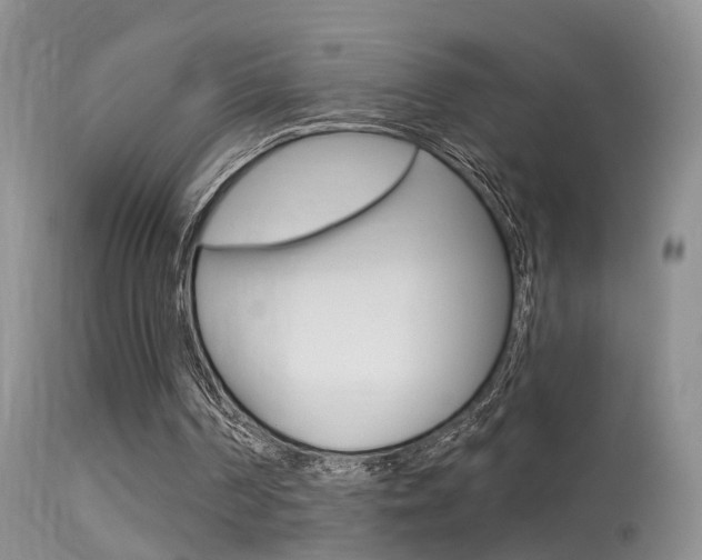 X0000113530194200909181008