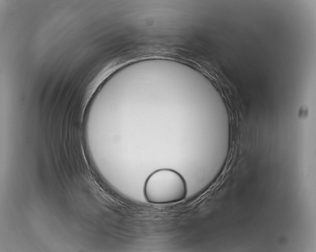 X0000113530195200909181008