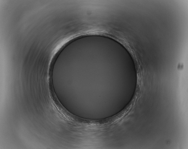 X0000113530196200909181008