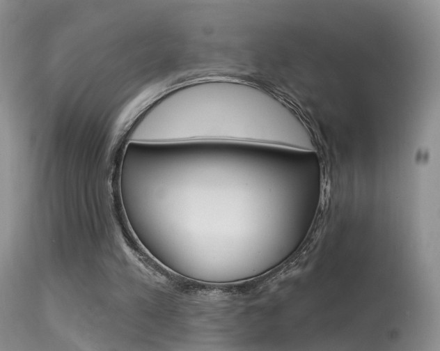 X0000113530197200909181008