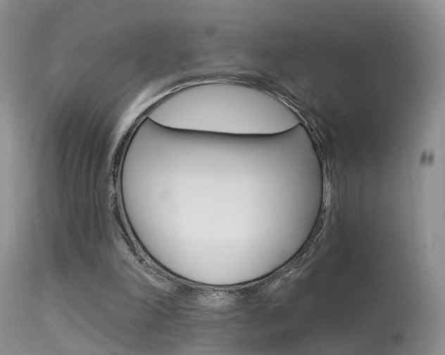 X0000113530198200909181008