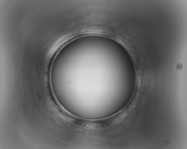X0000113530199200909181008