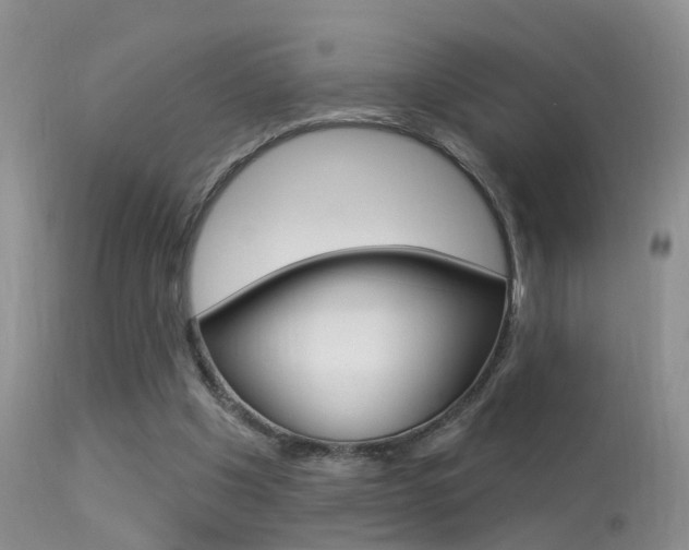 X0000113530201200909181008