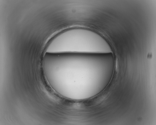X0000113530204200909181008