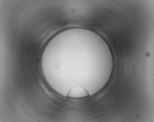 X0000113530205200909181008