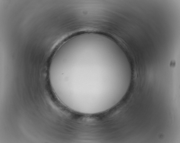 X0000113530208200909181008