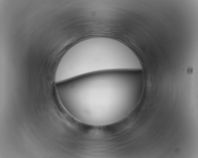X0000113530211200909181008