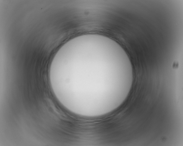 X0000113530213200909181007