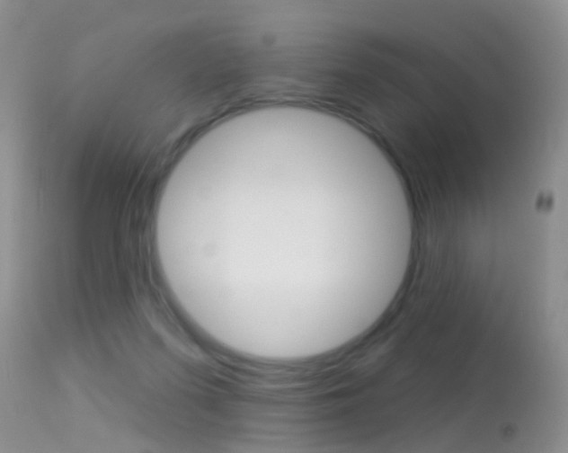 X0000113530215200909181007