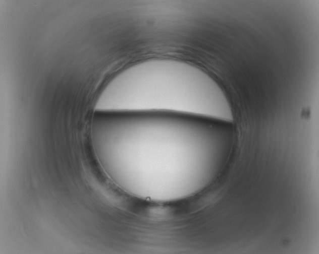 X0000113530216200909181007