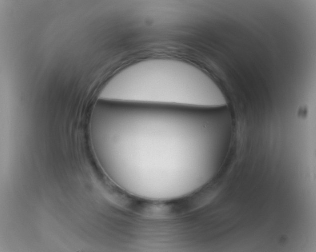 X0000113530217200909181007