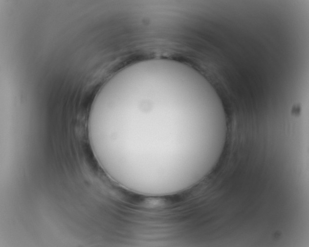 X0000113530218200909181007