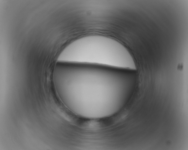 X0000113530219200909181007
