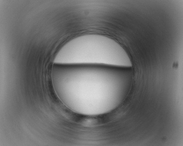 X0000113530220200909181007