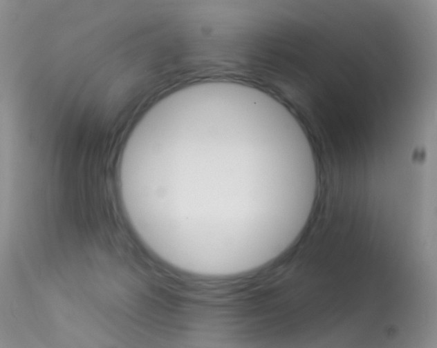 X0000113530221200909181007